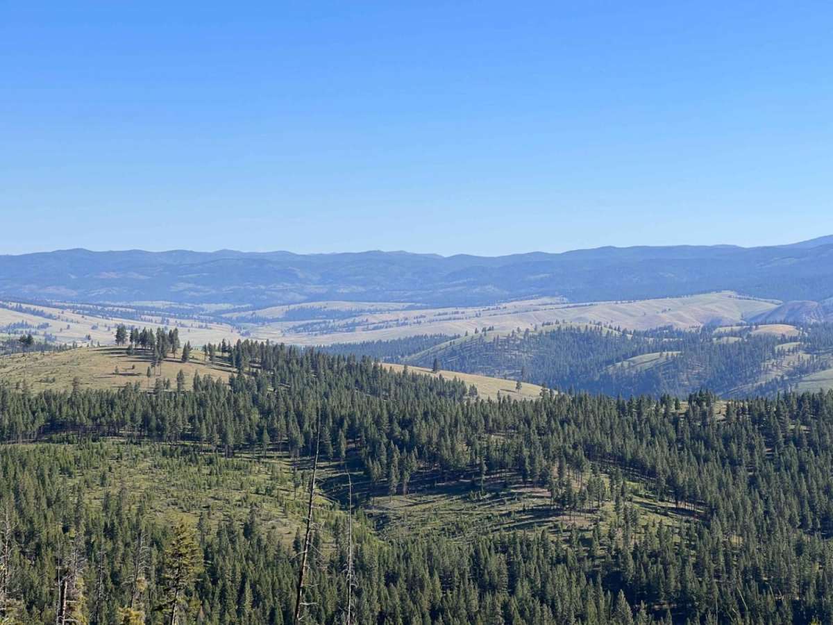 Waugh Gulch trail photo