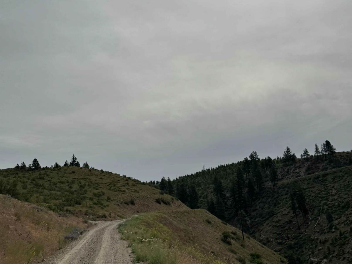 Joe Creek Road - FS 8210 photo 4