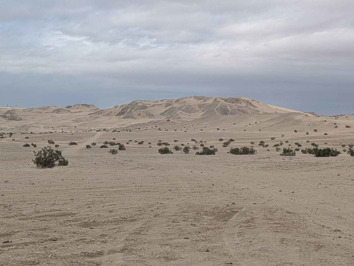 Superstition Mountain - BLM 341 photo 5