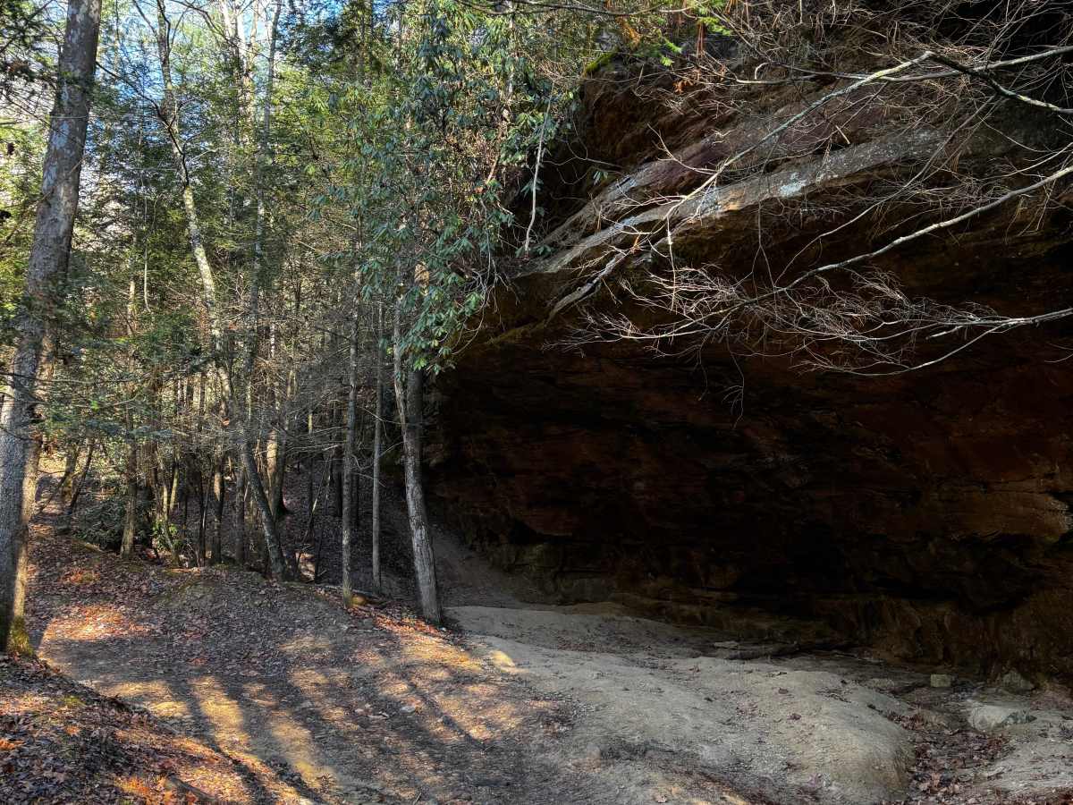 Boneyard Trail 1 - Holiday Hill Gatekeeper photo 2