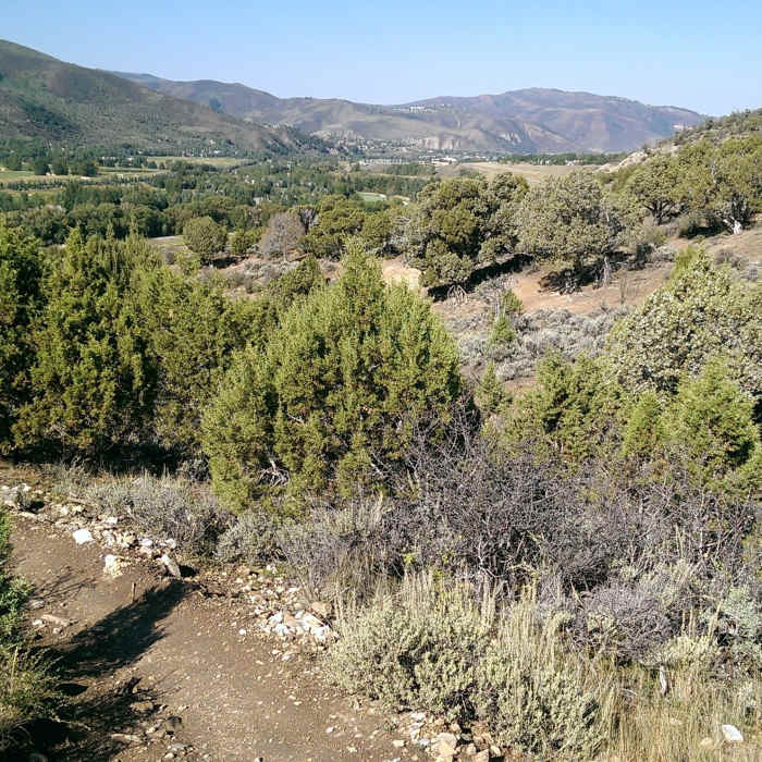 Near Avon Singletree Connector (ASC)