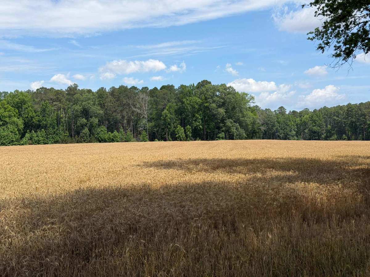 Beaver Pond Road photo 6