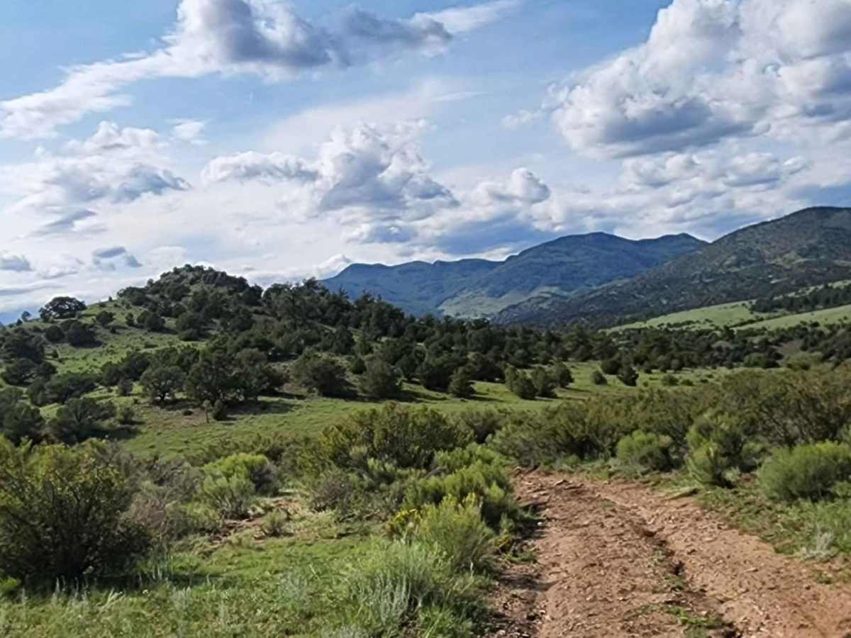 Pinon Cut Off photo 2