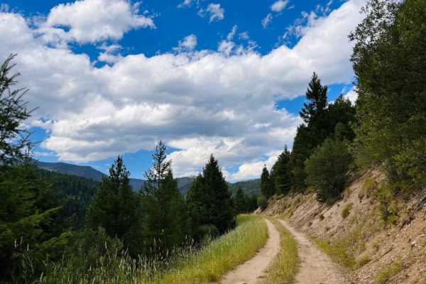 Bush Moose Ridge