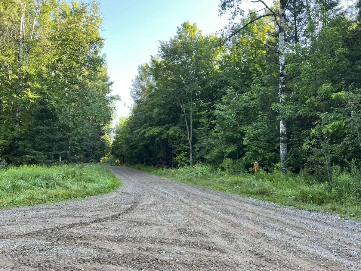  Lost Lake Road - FS 2158 photo 3