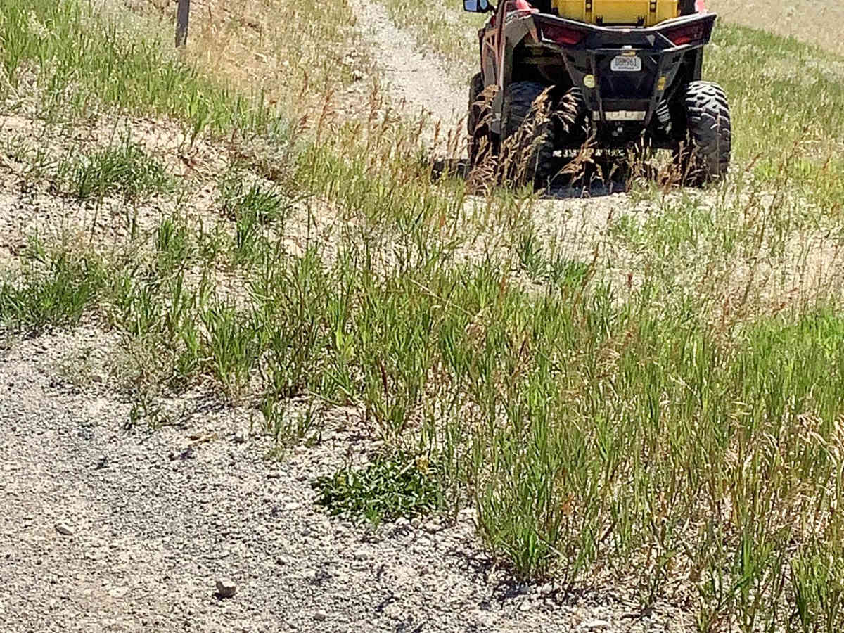 Mikes Trail trail photo