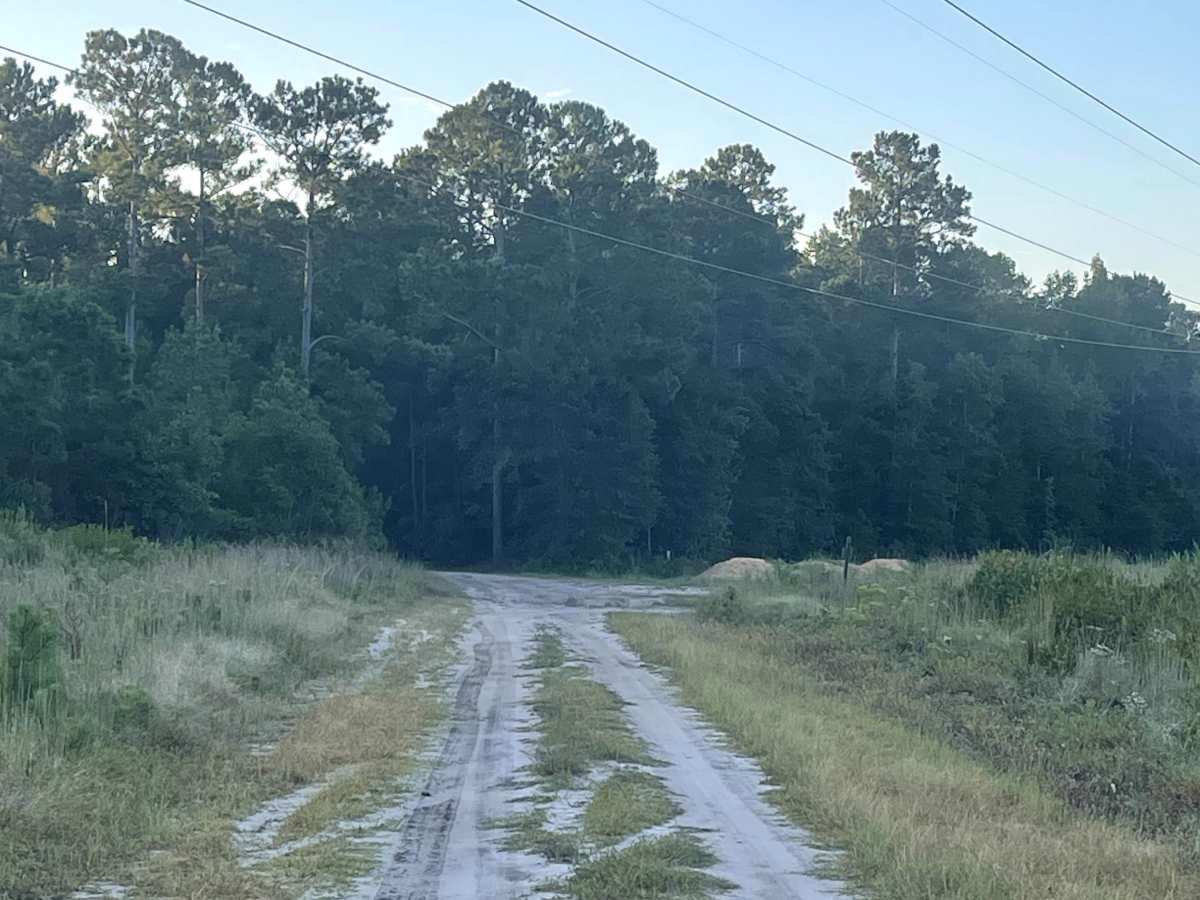 State Route 1553 trail photo
