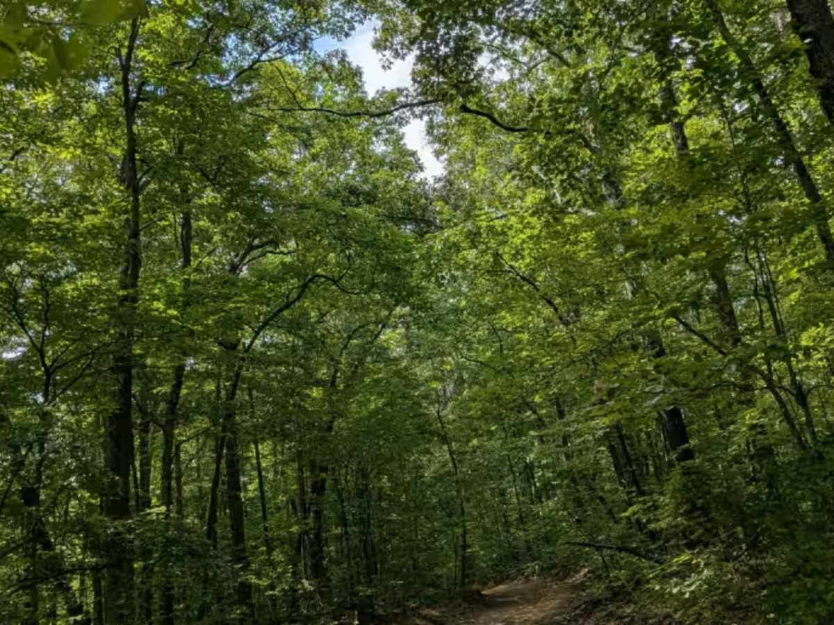 Limekiln Loop Road photo 2