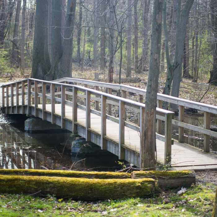 Near Chimney Bluffs Loop