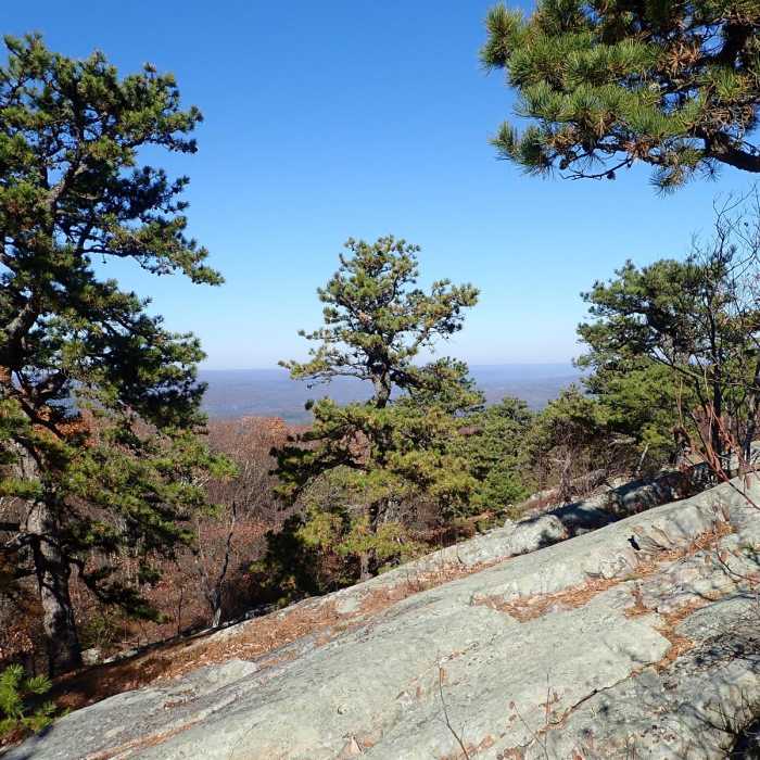 Near Appalachian Trail - Stokes S.F. South Near Appalachian Trail - Stokes S.F. South