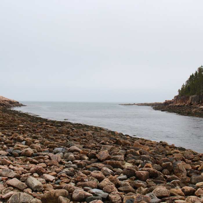 Tide flowing low on Ship Harbor. Near Ship Harbor Trail
