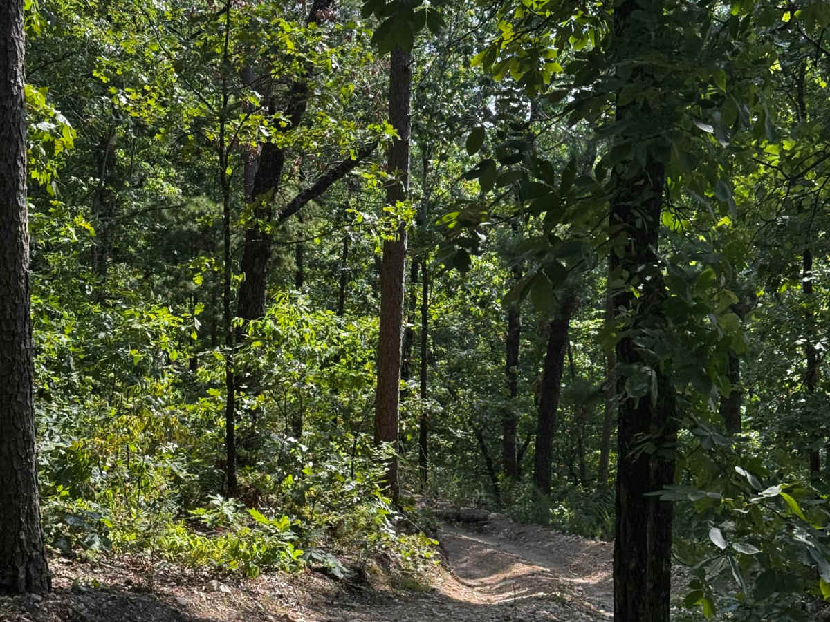 Short Cut to Cabins trail photo