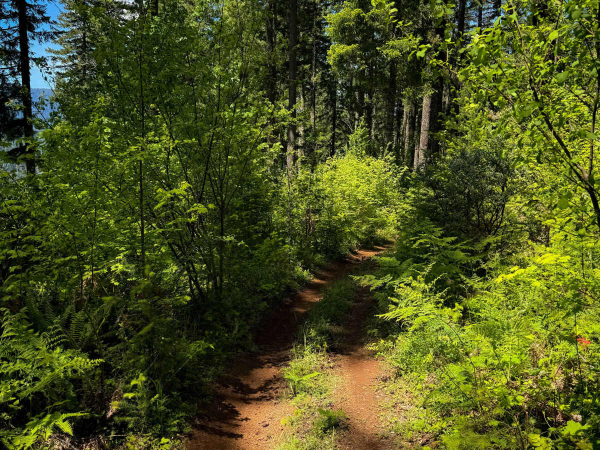 103 trail photo