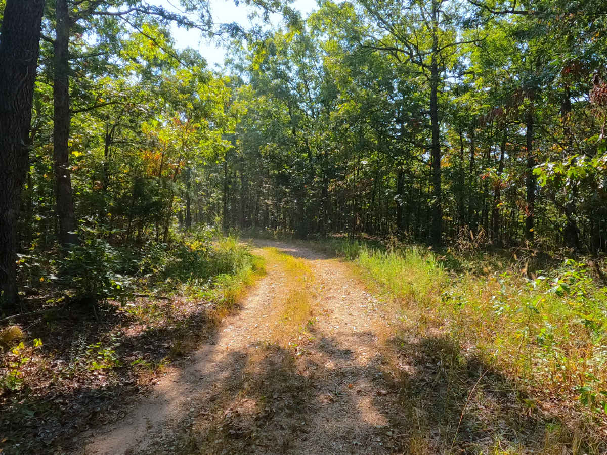 Beasley Hollow - FS 2594 photo 5