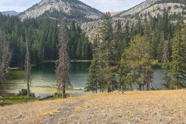 Webber Creek - Divide Creek