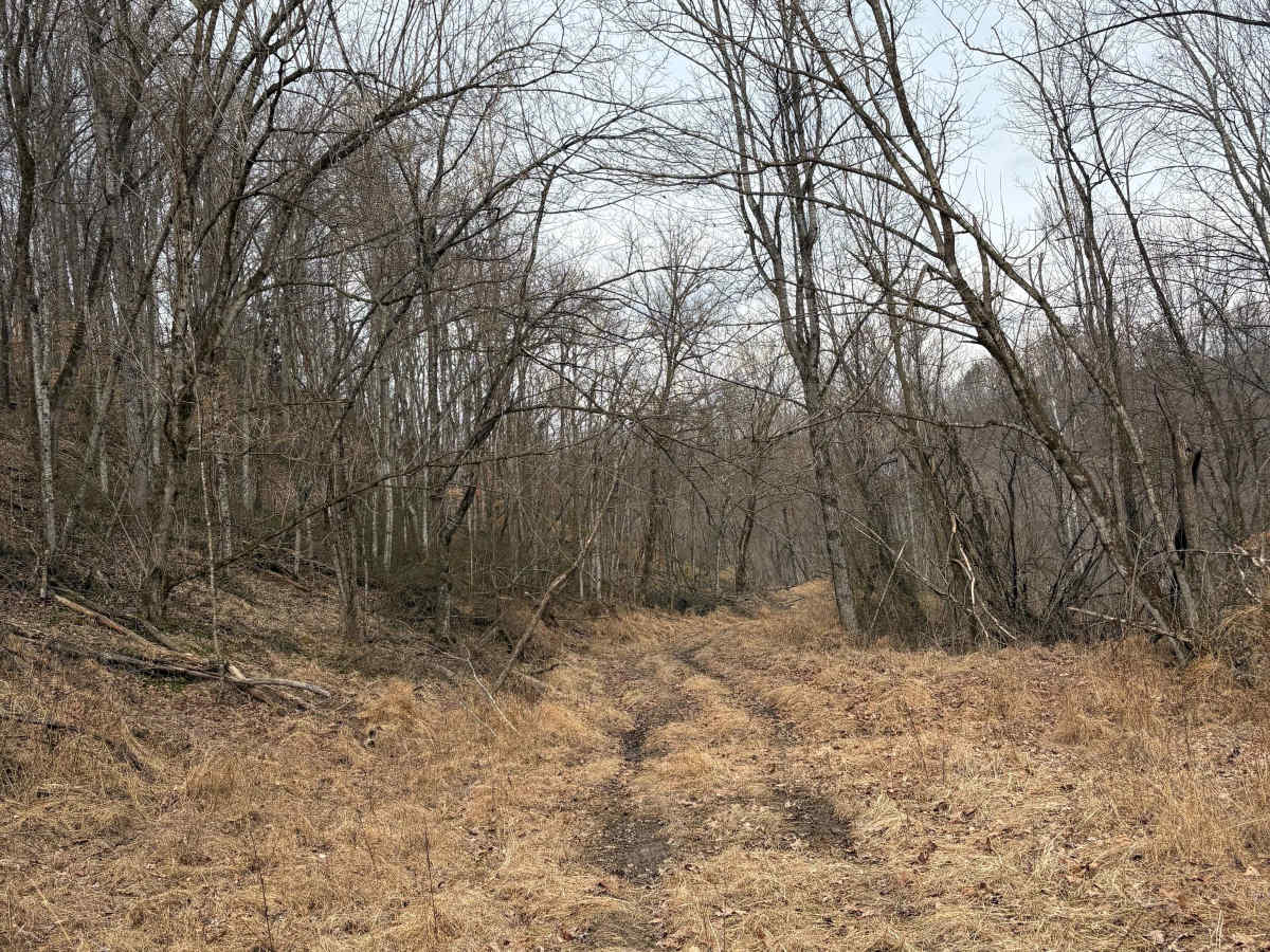 Trail 4 photo 3