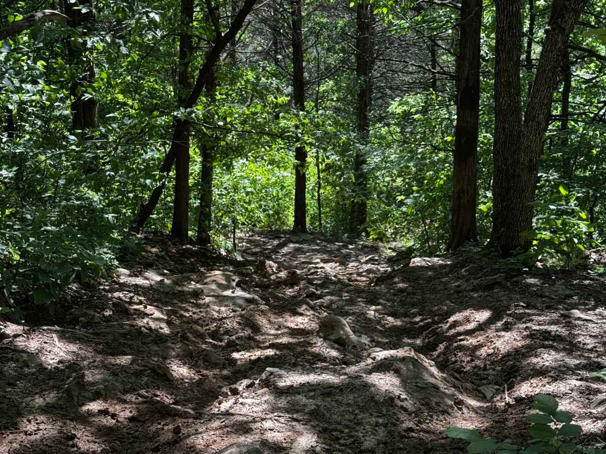Primitive Camp trail photo