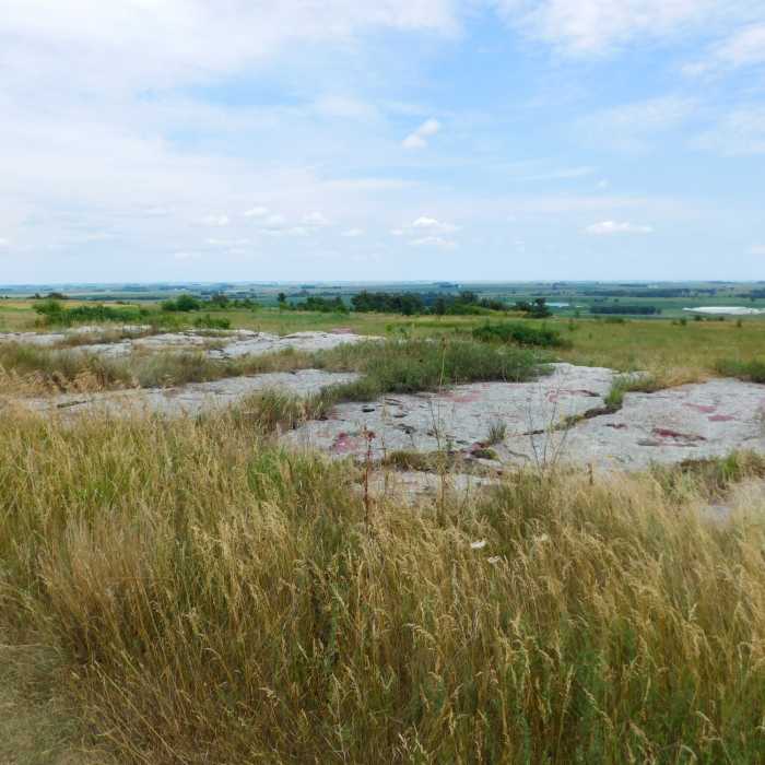 Near Hiking Club Route