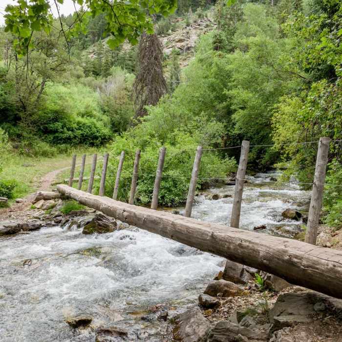 Near Middle Fork Waterfall Hike Near Middle Fork Waterfall Hike