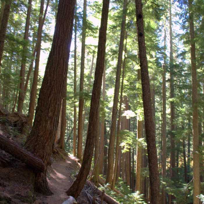 Near Linton Lake Hike