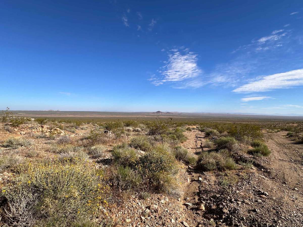 Sidewinder Trail photo 2