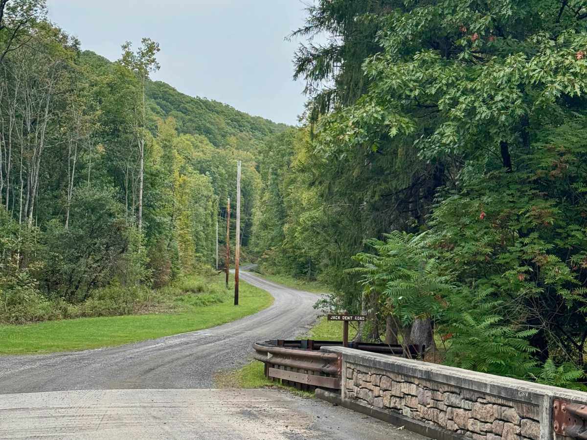 Jack Dent Road photo 2