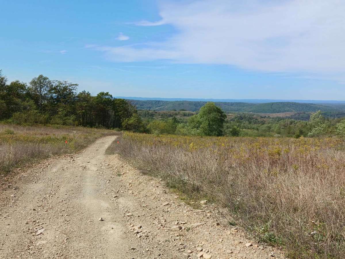 Lower Saddle - Rock Run Recreation Area trail photo