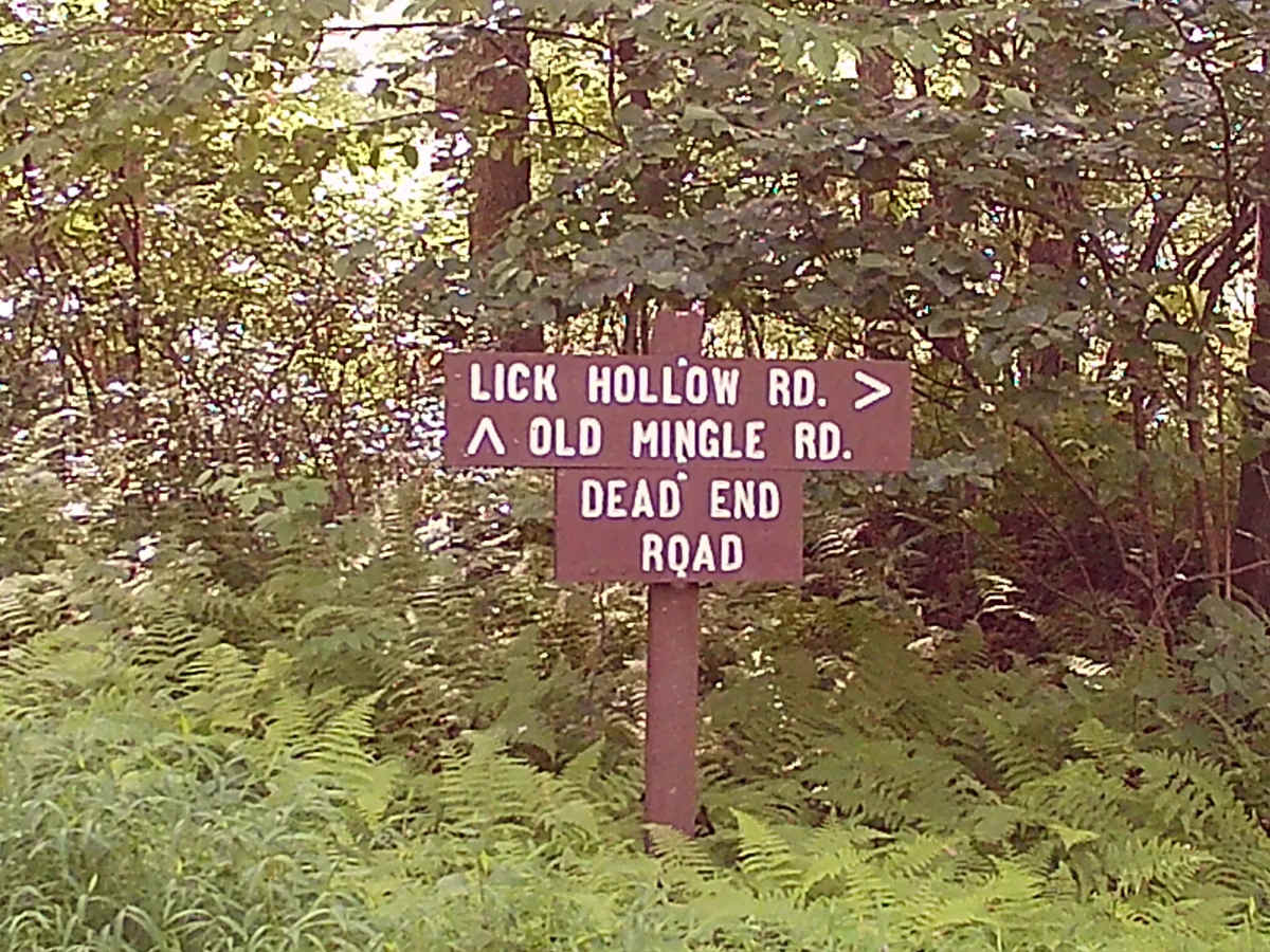 Old Mingle road photo 6