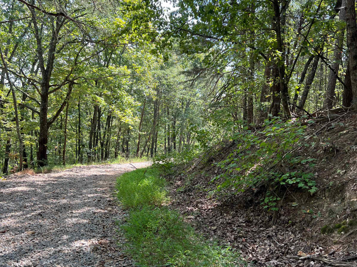 Dunaway Gap - FS 204 photo 4