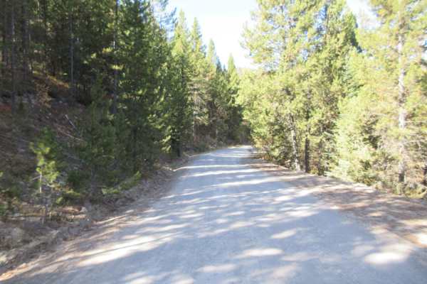 Standard Creek Rd w/Wolverine Basin
