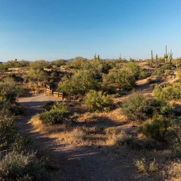 Near Mountain Bike Trail