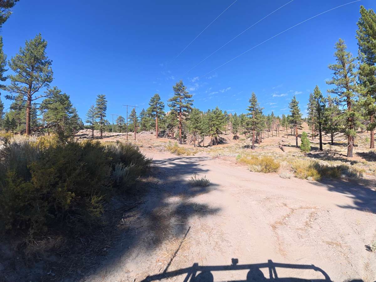 FS 3S41C trail photo