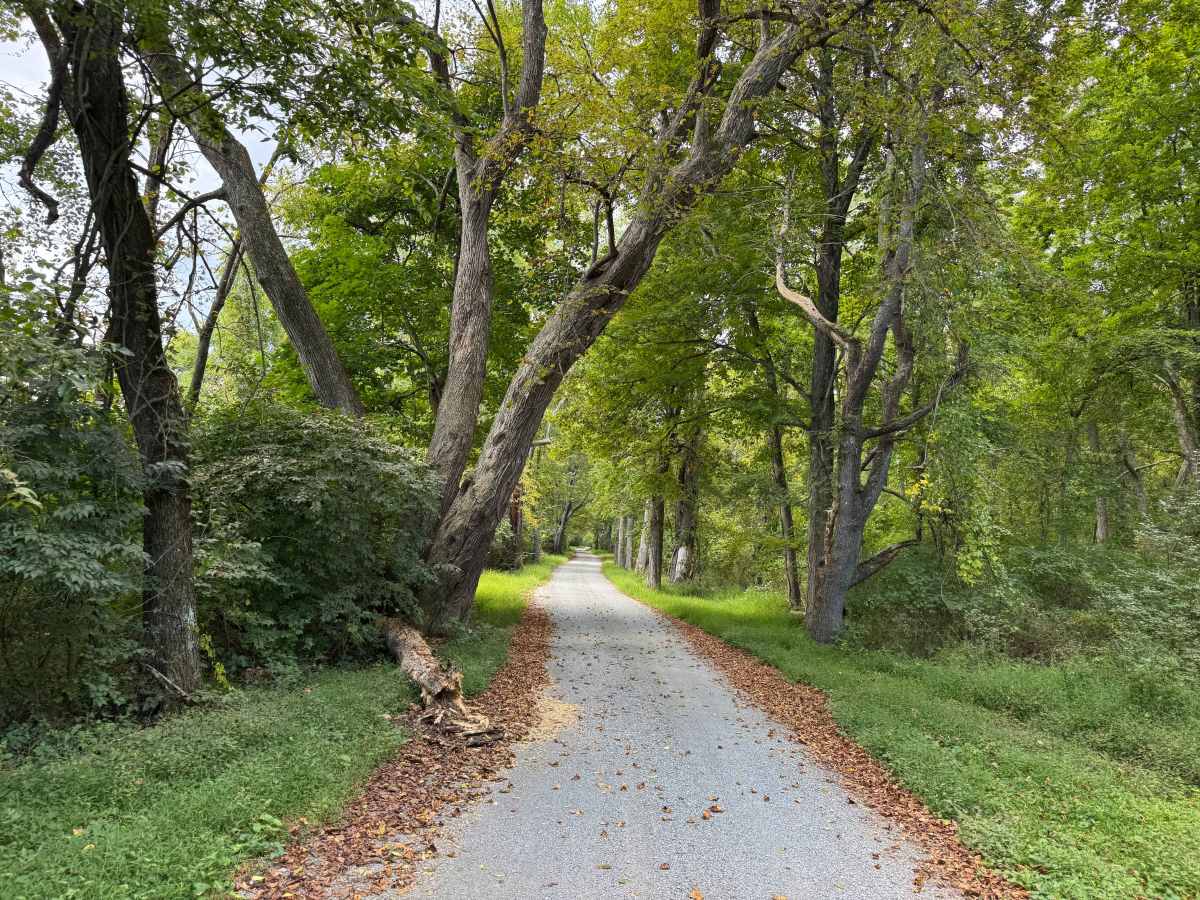 Caddo Access Road photo 3