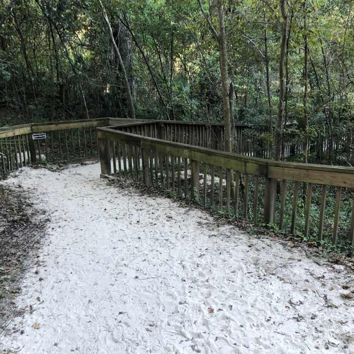 Near Alfred A. Ring Park Out and Back