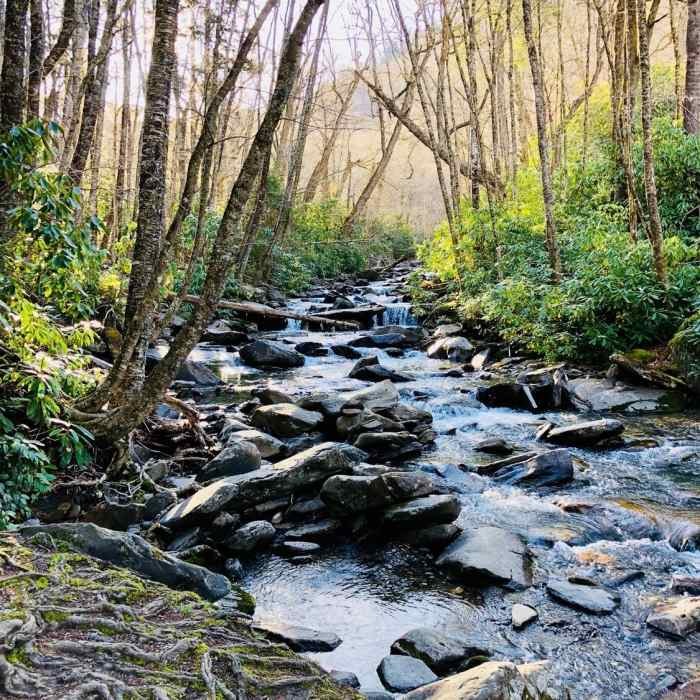 Beautiful stream near the beginning of the trail. Near Alum Cave
