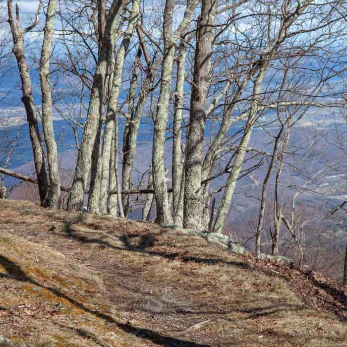 Near Lewis Falls from Big Meadows Campground