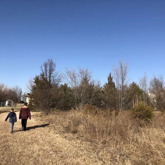 The trail merges at a drainage pipe crossing and there are several options to walk from here. Near North Chisholm Creek Park