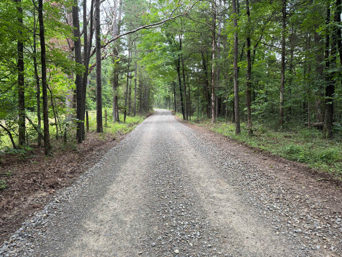 County Road 4451 photo 4