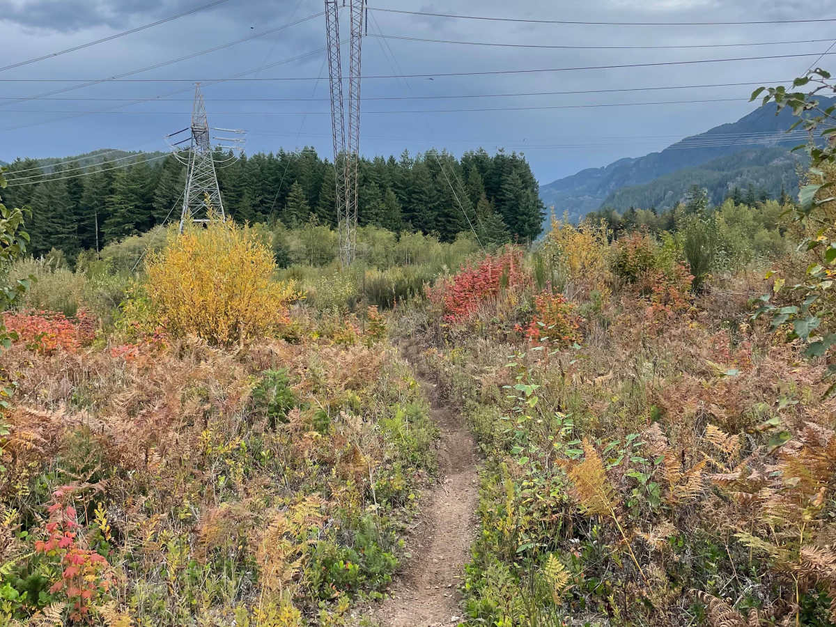 Rob’s Rip Connector trail photo