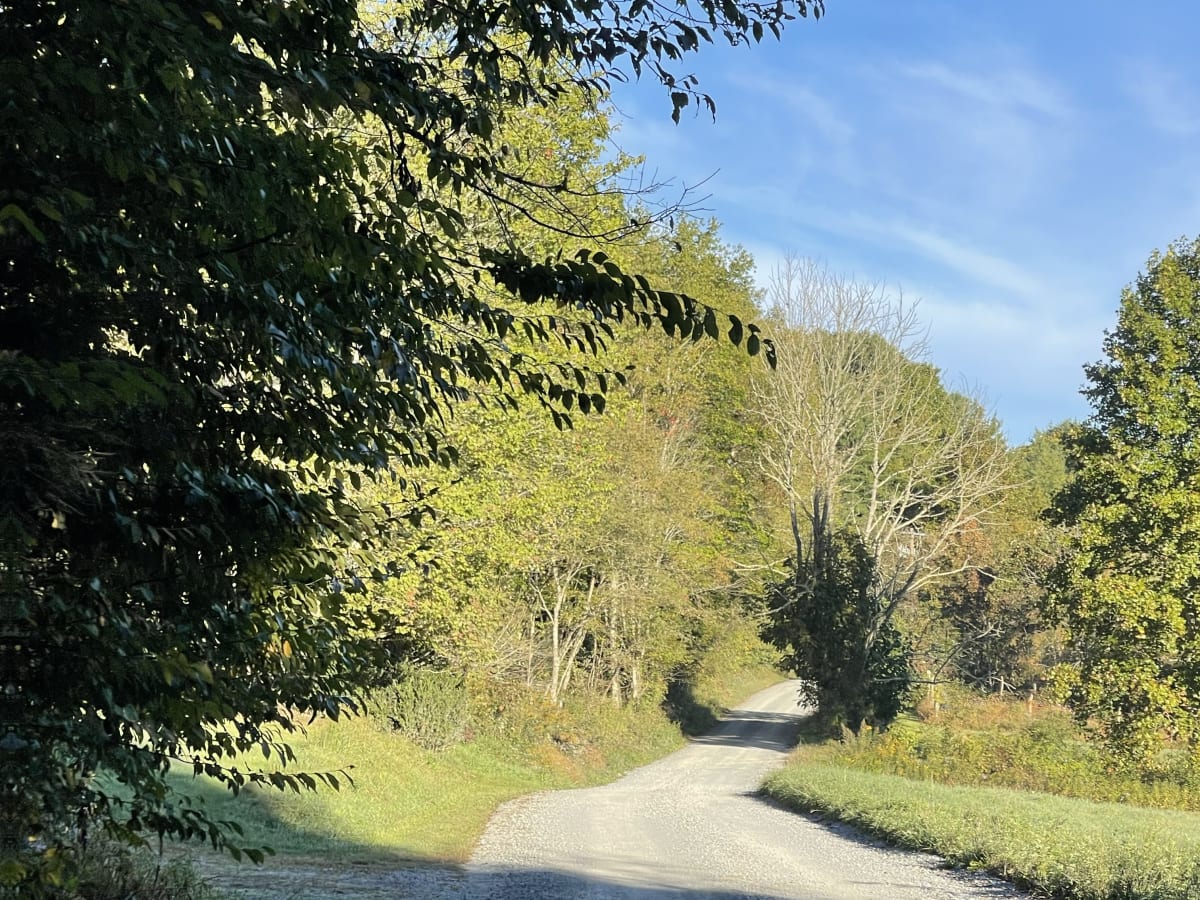Laurel Creek Road photo 5