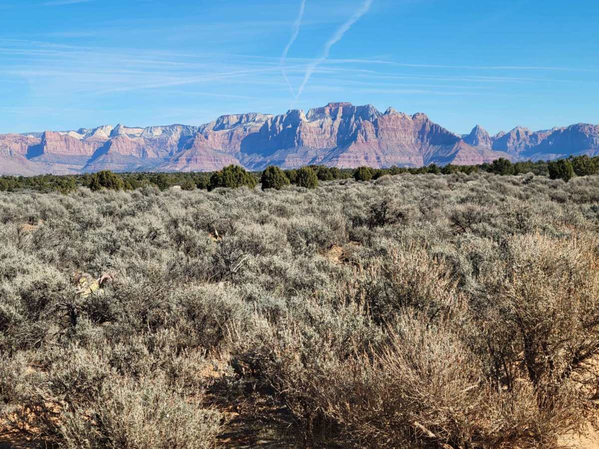 Gooseberry Mesa Spur trail photo