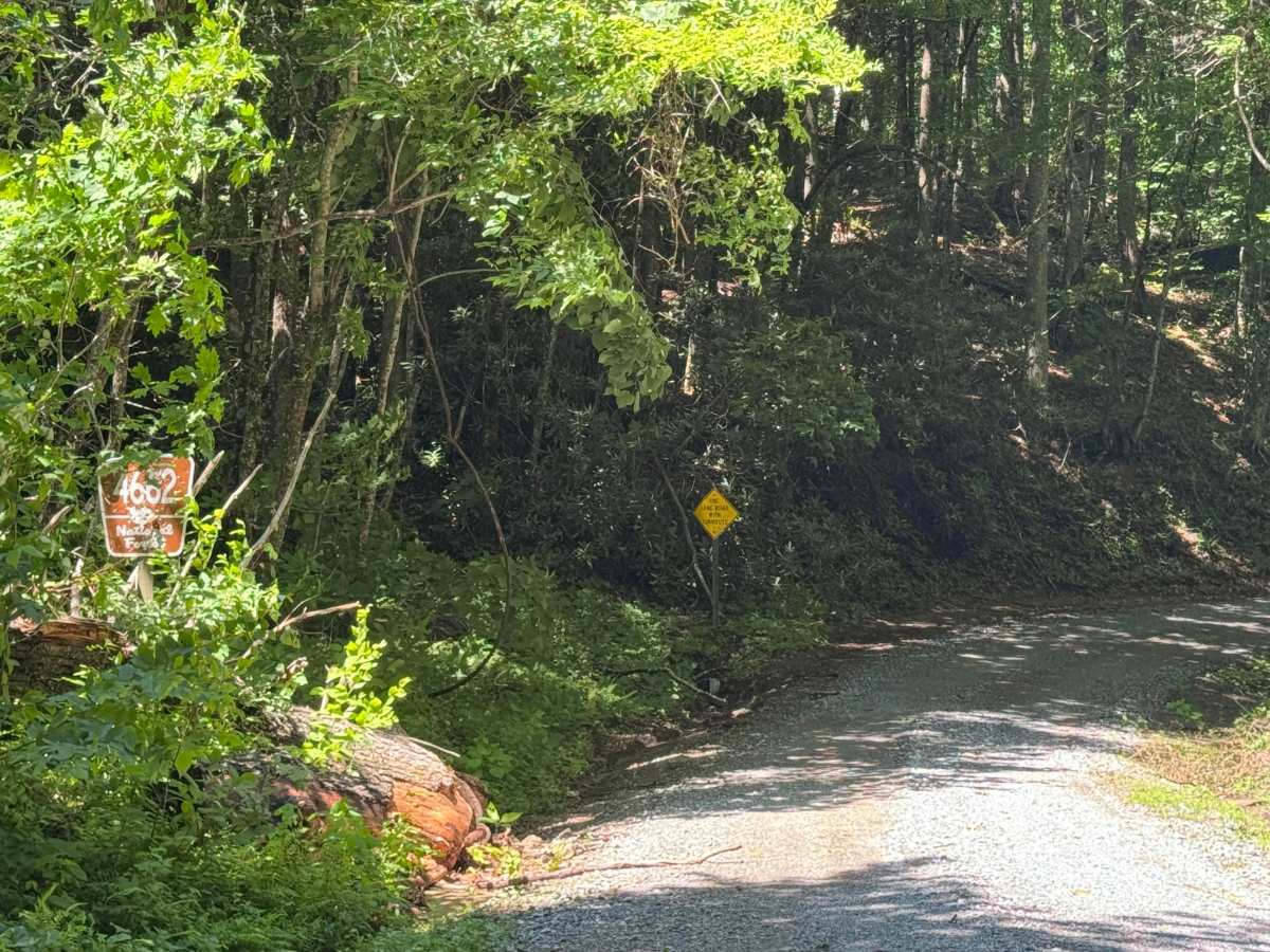 Rock Bridge Road - SR 1140 trail photo