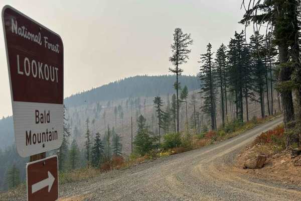 Bald Mountain Lookout - FS 377A