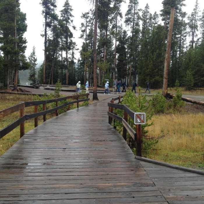 Near Upper Falls View Trail