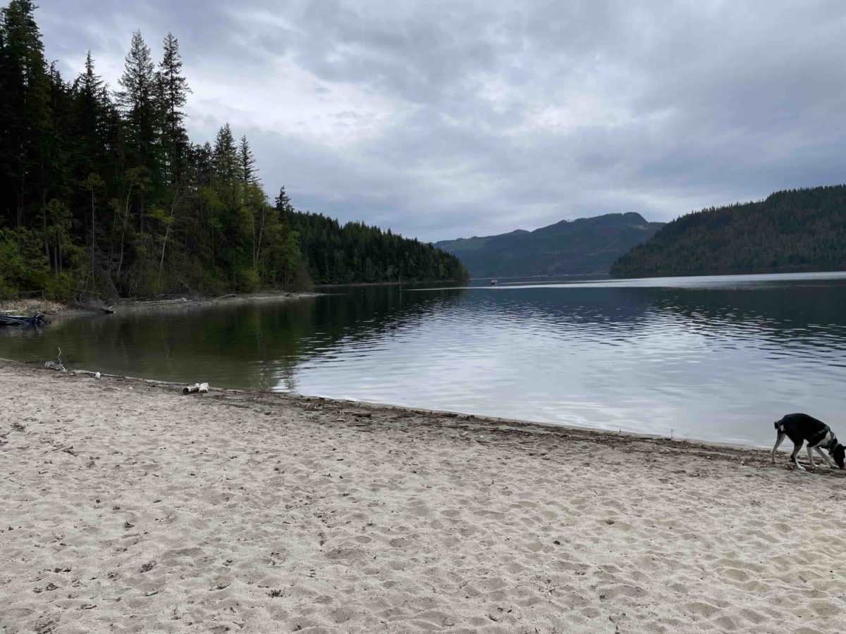 Mabel Lake FSR to Cottonwood Rec Site trail photo