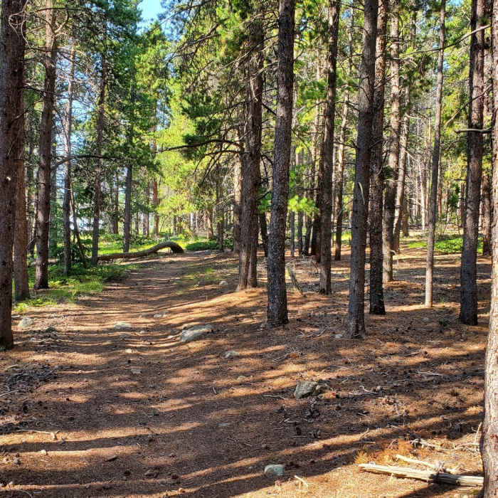 Near Winnegar Ridge Trail #359.1B