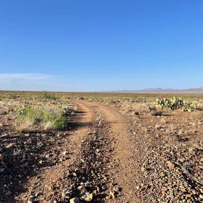 Near Continental Divide Trail: New Mexico Section 2