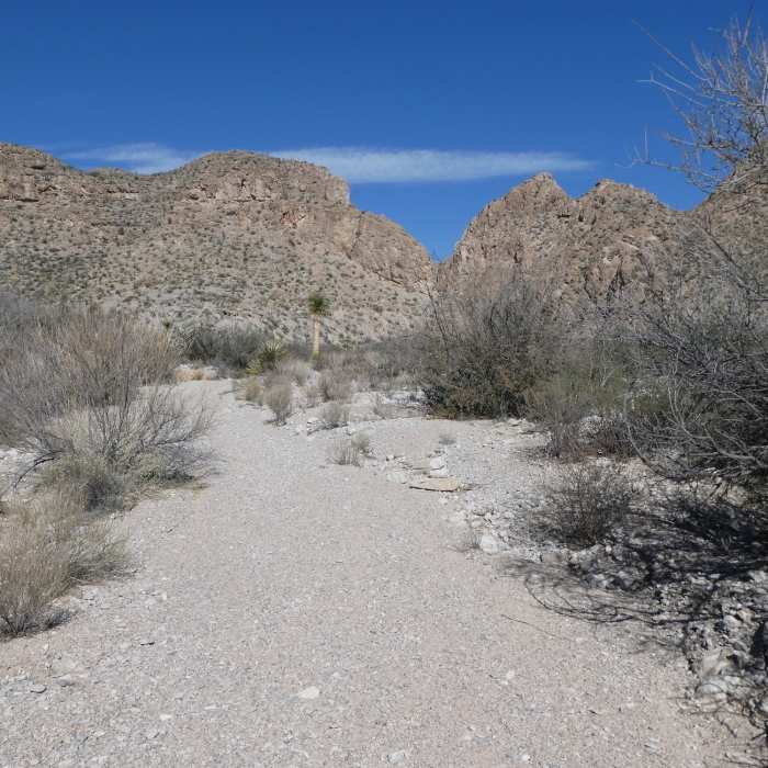 Looking north at the intersection with the Ore Terminal Trail. Near Marufo Vega Trail