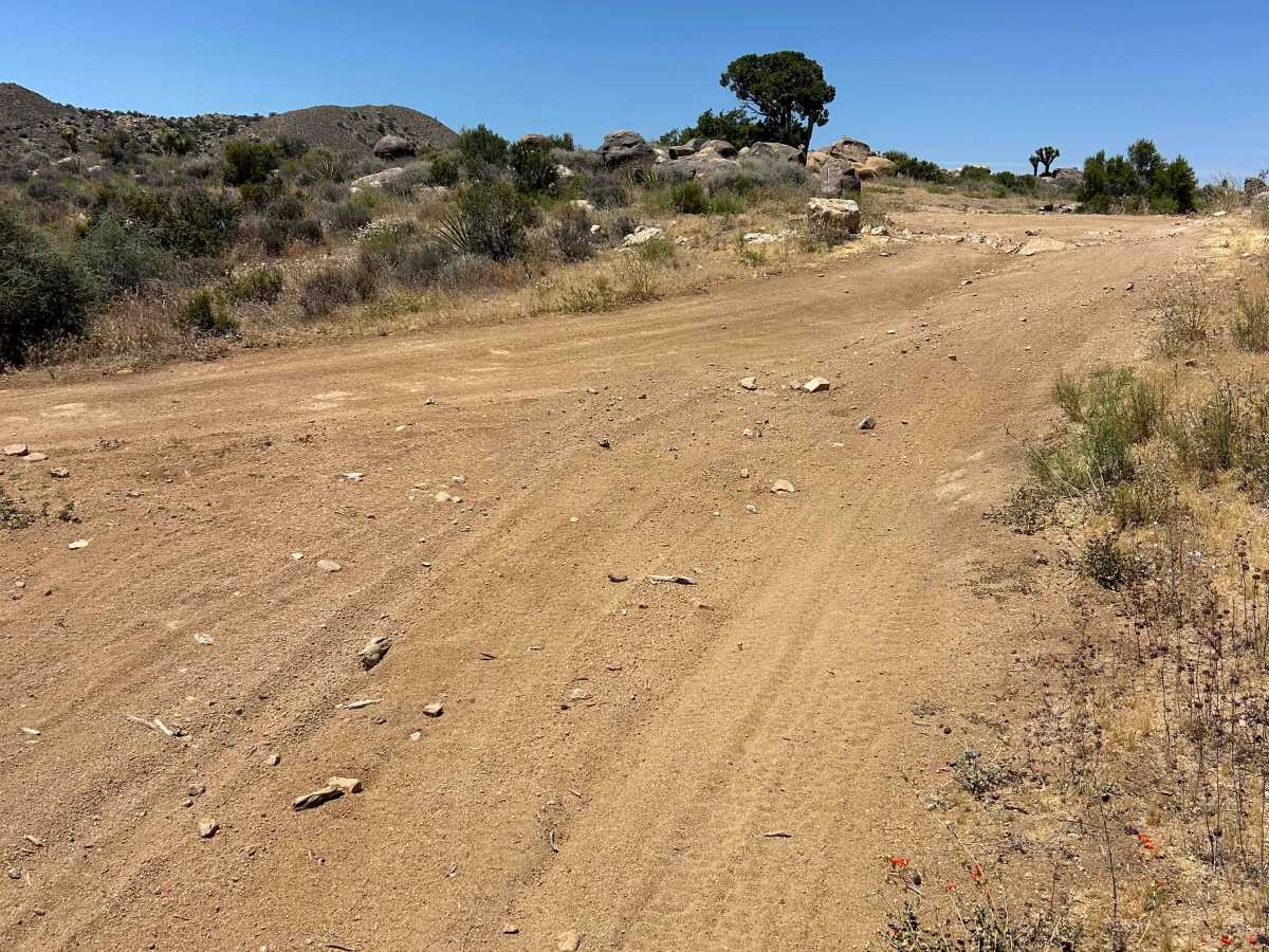 The Buzz Route - BLM 2320 photo 6