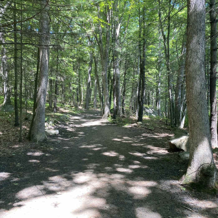 Near Scoville Reservoir Trail